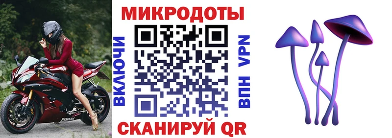 где найти наркотики  Лобня  Псилоцибиновые грибы Psilocybine cubensis 